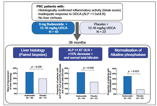 A placebo-controlled randomised trial of budesonide forPBC following an insufficient response to UDCA